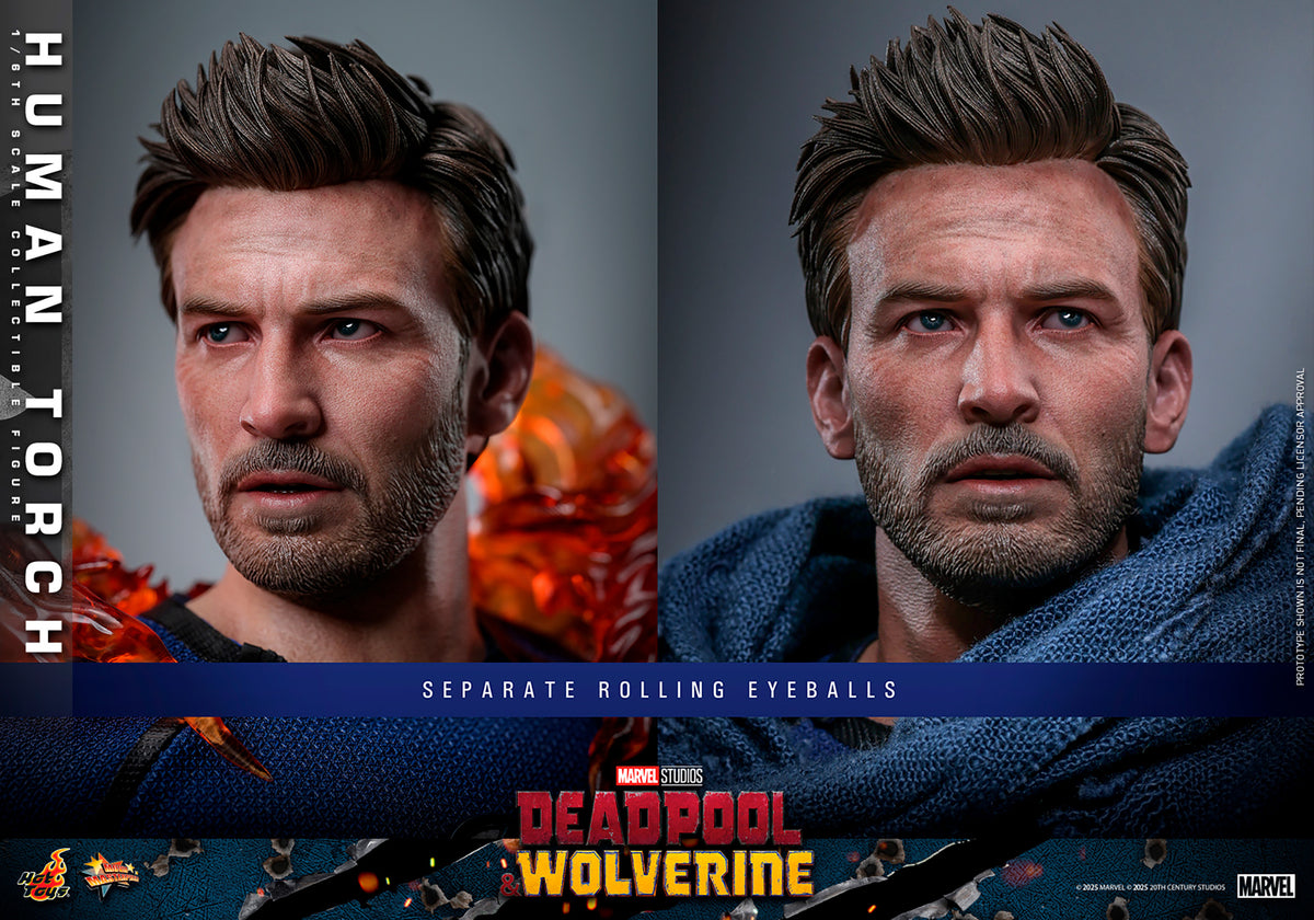 Hot Toys - MMS789 Marvel 1/6th Scale Collectible Figure - D&P Human To