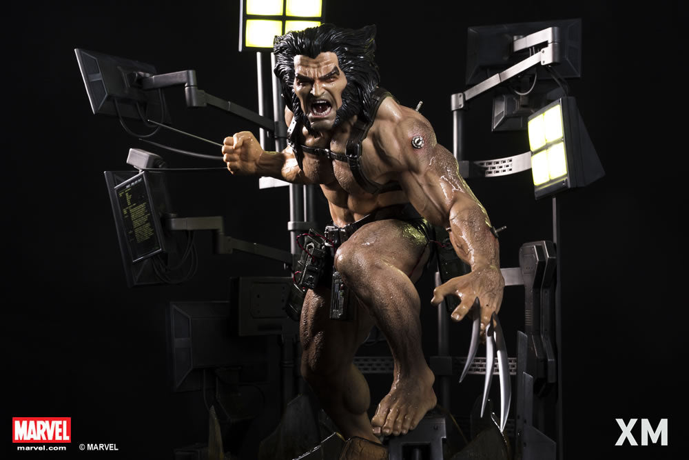 XM Studios - Marvel 1/4 Scale Statue - Wolverine [Weapon X Project ...