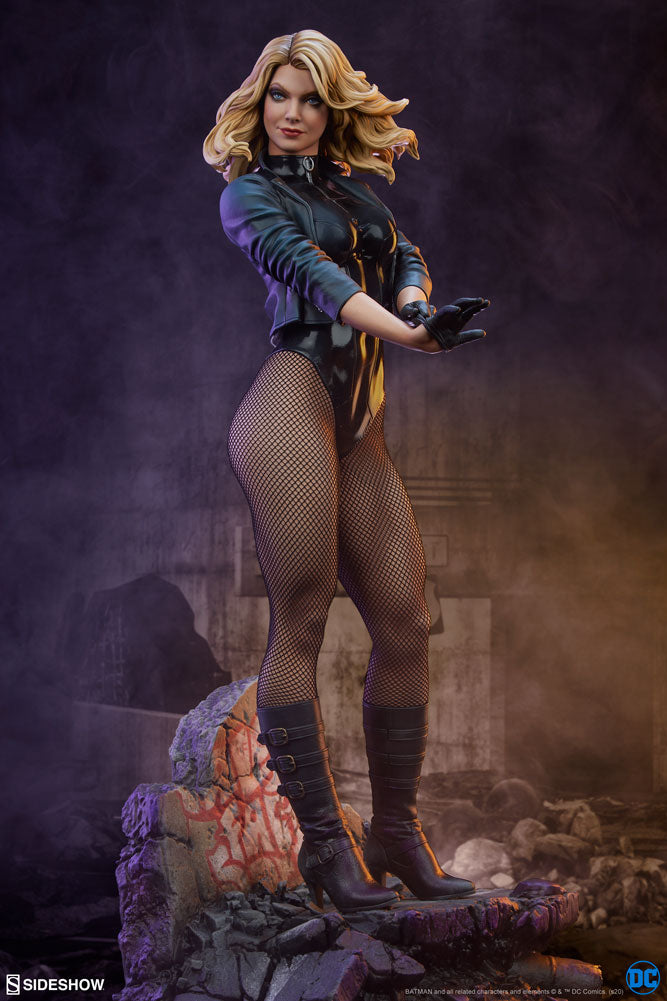 Tonner - DC 厳つく Stars - BLACK CANARY 17インチ