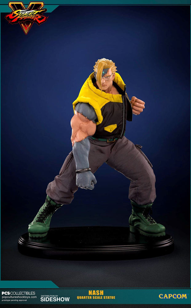 Pop culture shock street fighter new arrivals