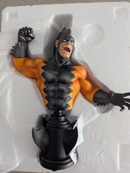 [EX-Display] Bowen Designs Tiger Shark Mini Bust