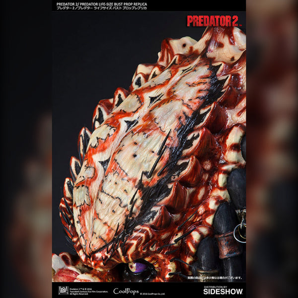 Sideshow Collectibles - Predator 2 Life-Size Bust (CoolProps) - Simply Toys