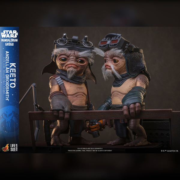 [PRE-ORDER DEPOSIT] Hot Toys - LMS018 Star Wars M&G - Keeto (Anzellan Droidsmith™) Life Sized Figure