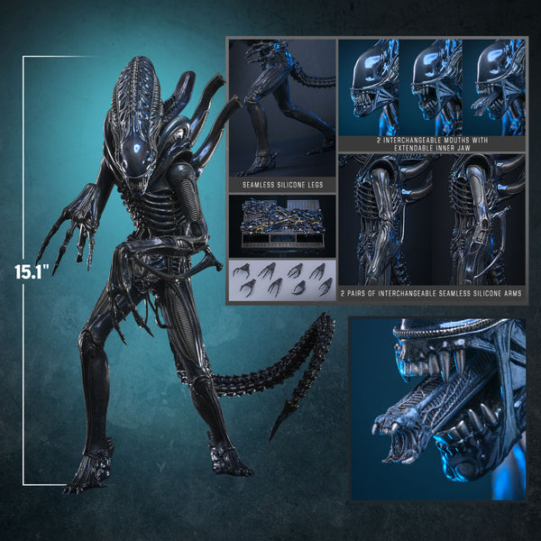 [PRE-ORDER DEPOSIT] Hot Toys - MMS898 Aliens - Alien Warrior Sixth Scale Figure