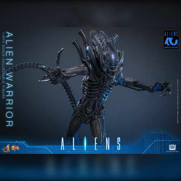 [PRE-ORDER DEPOSIT] Hot Toys - MMS898 Aliens - Alien Warrior Sixth Scale Figure