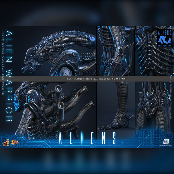 [PRE-ORDER DEPOSIT] Hot Toys - MMS898 Aliens - Alien Warrior Sixth Scale Figure