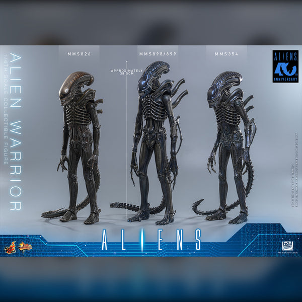 [PRE-ORDER DEPOSIT] Hot Toys - MMS898 Aliens - Alien Warrior Sixth Scale Figure