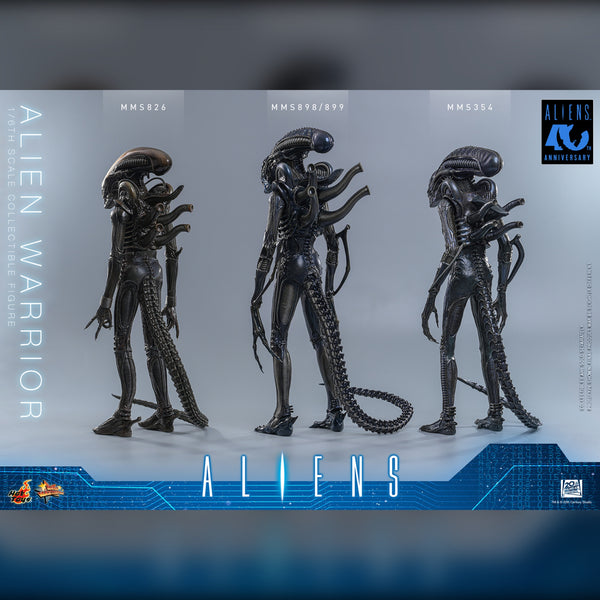 [PRE-ORDER DEPOSIT] Hot Toys - MMS898 Aliens - Alien Warrior Sixth Scale Figure