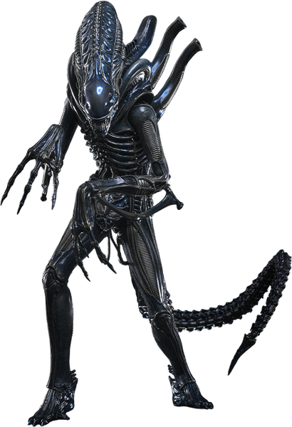 [PRE-ORDER DEPOSIT] Hot Toys - MMS899 Aliens - Alien Warrior DX Sixth Scale Figure