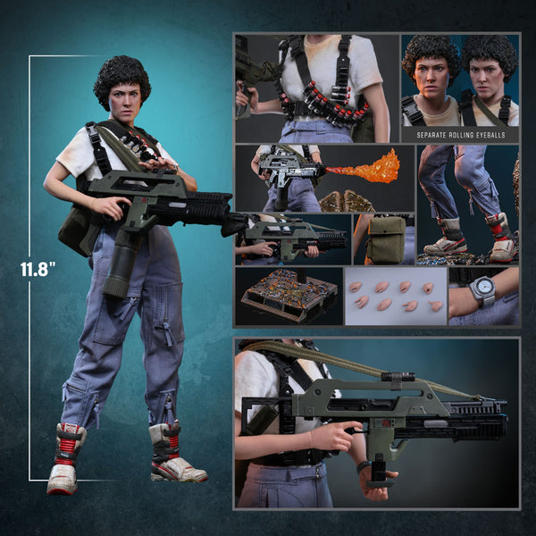 [PRE-ORDER DEPOSIT] Hot Toys - MMS894 Aliens - Ellen Ripley  Sixth Scale Figure