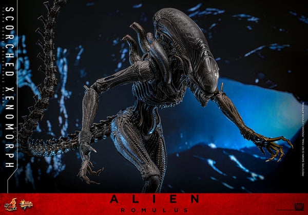 Hot Toys - MMS784 Alien Romulus 1/6th Scale Collectible Figure - Scorched Xenomorph