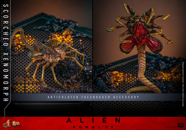 Hot Toys - MMS784 Alien Romulus 1/6th Scale Collectible Figure - Scorched Xenomorph