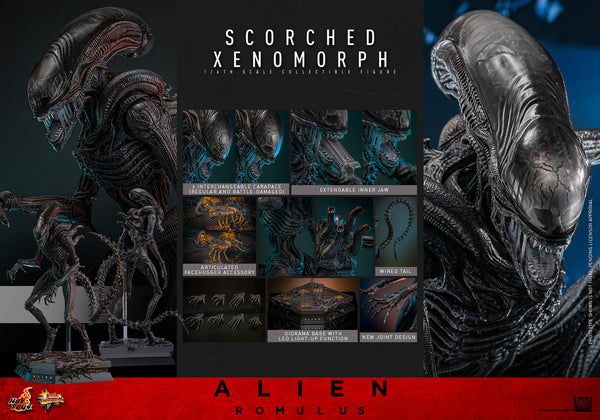 Hot Toys - MMS784 Alien Romulus 1/6th Scale Collectible Figure - Scorched Xenomorph