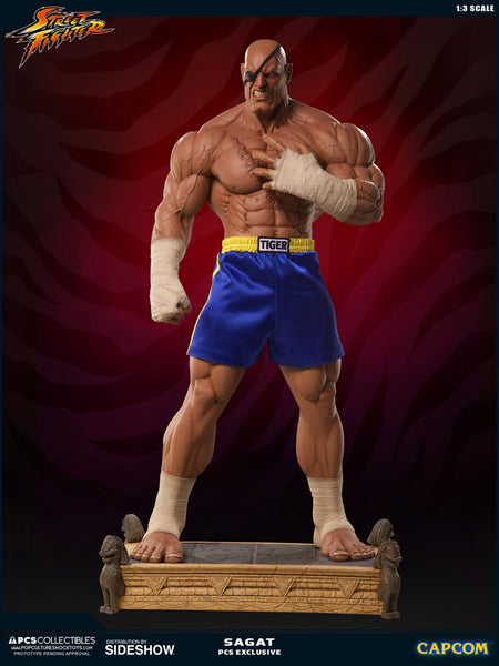 PCS / Sideshow Collectibles - Street Fighter 1:3 Scale Statue - Sagat - Simply Toys