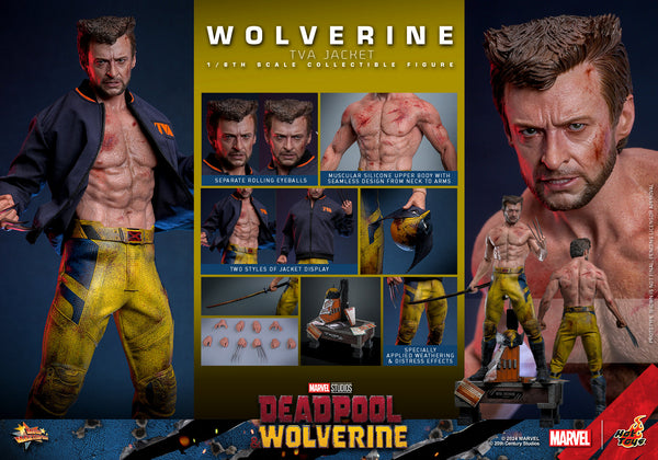 [PRE-ORDER] Hot Toys - MMS756 Marvel 1/6th Scale Collectible Figure - Deadpool & Wolverine - Wolverine (TVA Jacket Version)