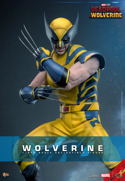 Hot Toys - MMS753 Marvel 1/6 Scale Collectible Figure - D&W Wolverine