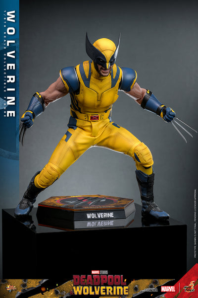 [PRE-ORDER] Hot Toys - MMS753 Marvel 1/6th Scale Collectible Figure - D&W Wolverine