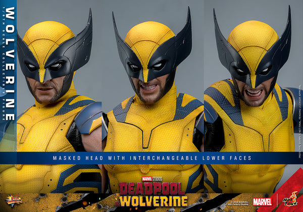 Hot Toys - MMS753 Marvel 1/6 Scale Collectible Figure - D&W Wolverine