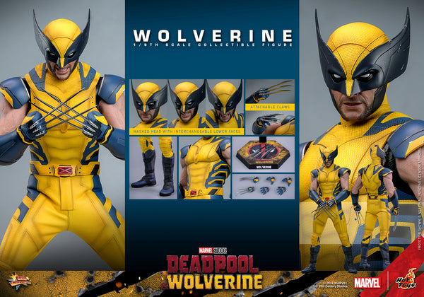 Hot Toys - MMS753 Marvel 1/6 Scale Collectible Figure - D&W Wolverine