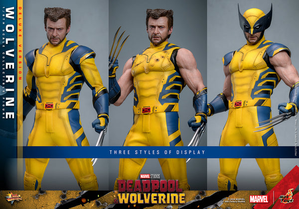 [PRE-ORDER] Hot Toys - MMS754 Marvel 1/6th Scale Collectible Figure - D&W Wolverine DX