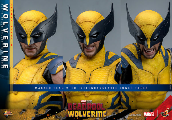 [PRE-ORDER] Hot Toys - MMS754 Marvel 1/6th Scale Collectible Figure - D&W Wolverine DX