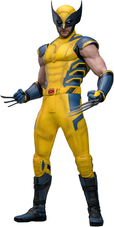 Hot Toys - MMS753 Marvel 1/6 Scale Collectible Figure - D&W Wolverine