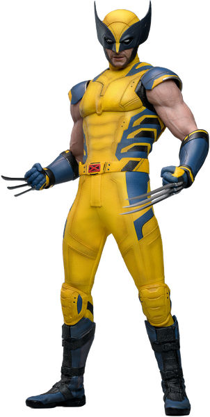 Hot Toys - MMS753 Marvel 1/6 Scale Collectible Figure - D&W Wolverine