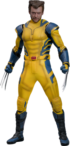 [PRE-ORDER] Hot Toys - MMS754 Marvel 1/6th Scale Collectible Figure - D&W Wolverine DX