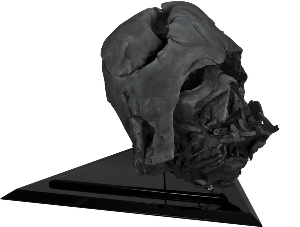 eFX Collectibles - Star Wars Prop Replica - The Force Awakens: Darth Vader Pyre Helmet